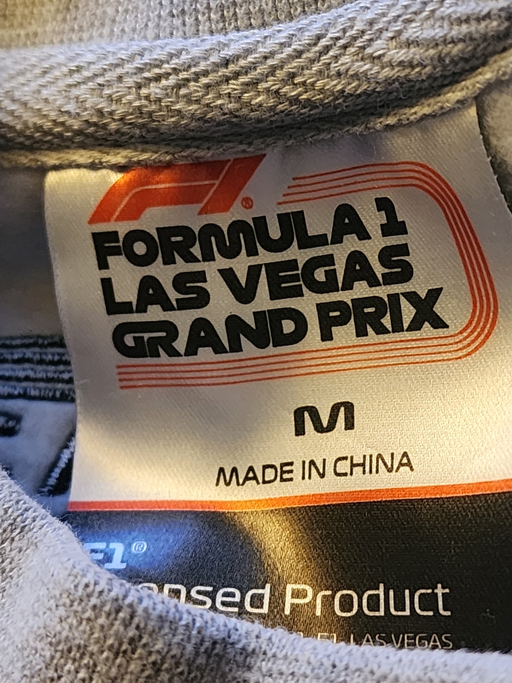 Formula 1 Oficial Produc Light Grey F1 Logo Crewneck Sweatshirt - Picture 4 of 9